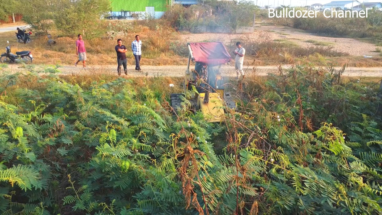 Amazing Project Operator Skills Clearing The Forest By Dozer D20P Good Forest & clearing