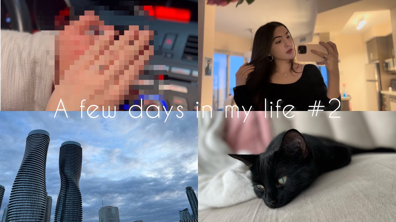 A few days in my life - engagement rings, organizing my appt, and spending time w family