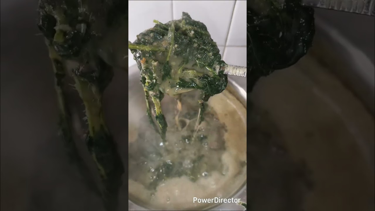 आज बनाया कंडाली (बिच्छू घास)की सब्जी...   Today I made Kandali (scorpion grass) vegetable...