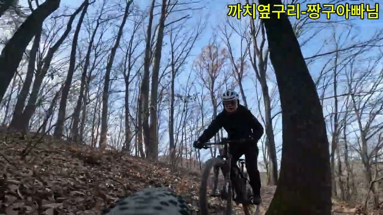 까치옆구리
