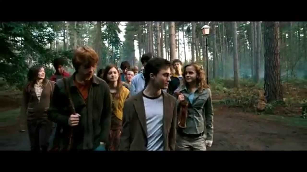 Harry Potter | Family | Kodaline - All I Want