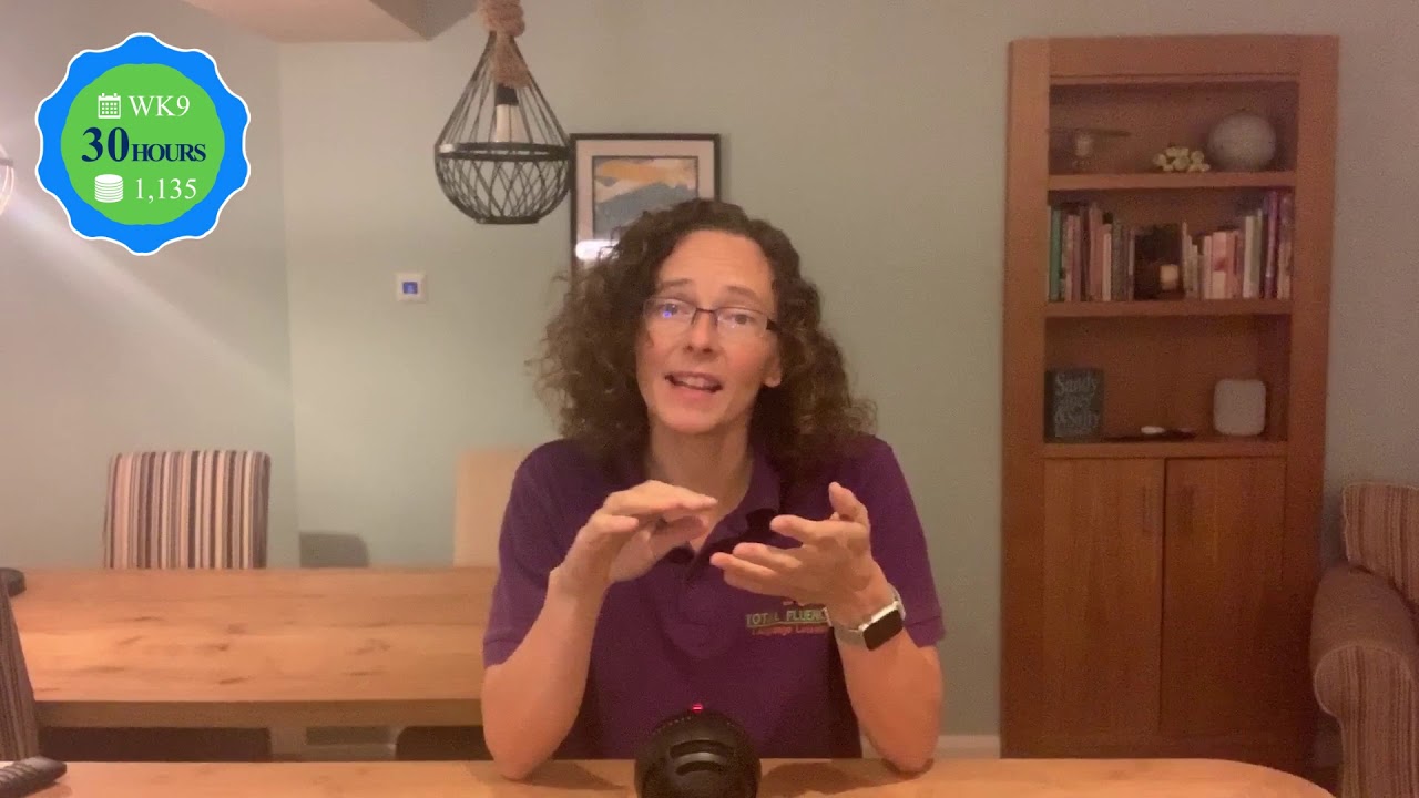 Identify & correct your problems early!  (German in 25 Weeks)