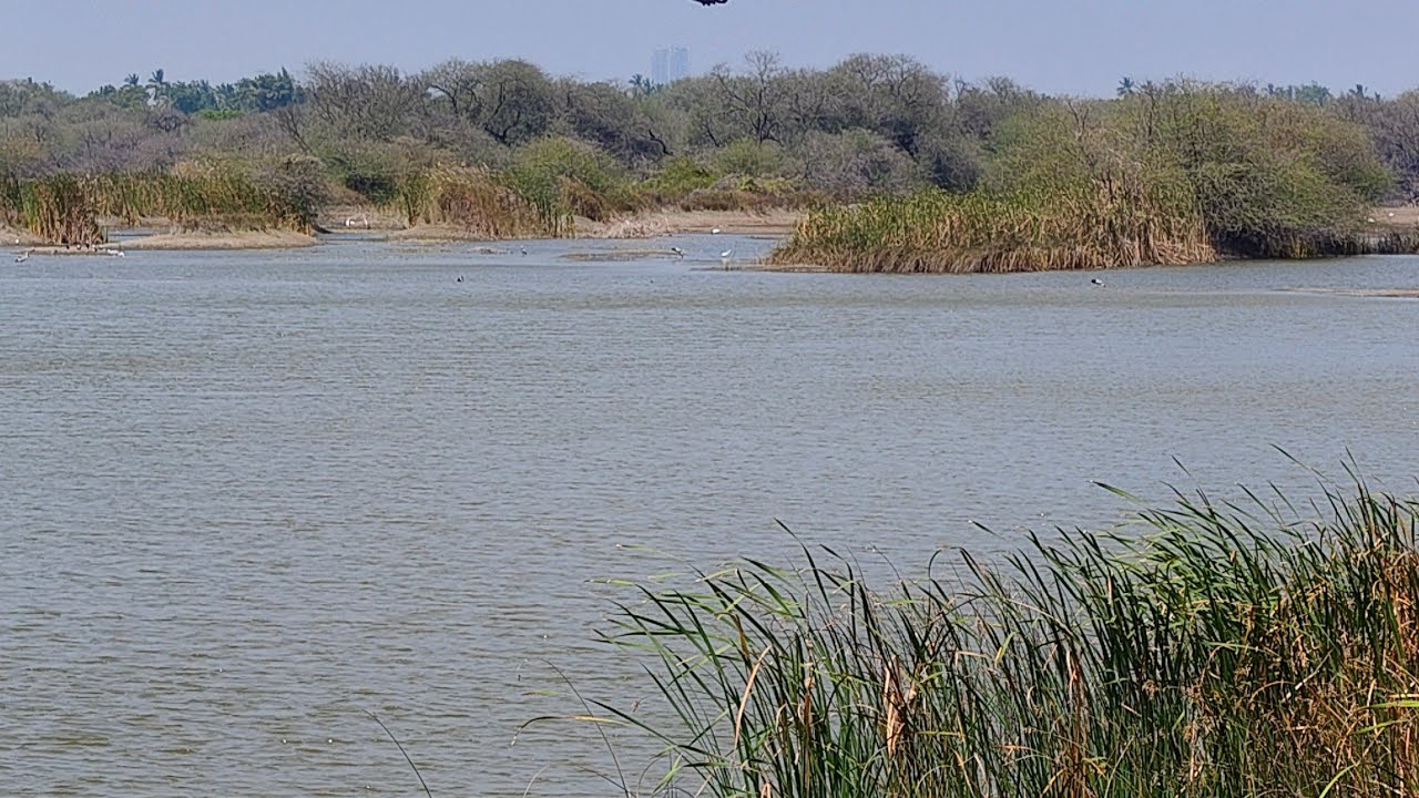 #Karaivetti​ Bird Sanctuary #Ariyalur​ District # Nature #Lake​ #Boating​ #Family​ #Picnic​