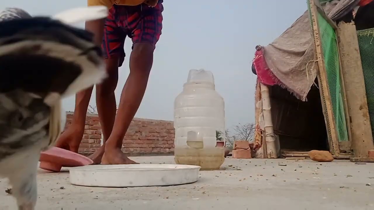 Baroda ke like comment share comment subscribe🥹🥺🥺🥰😍❤️