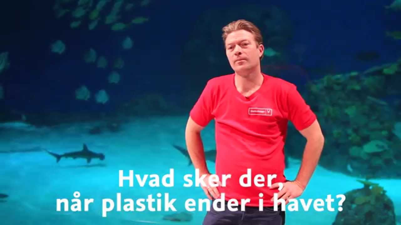 Hvad sker der når plastik ender i havet?