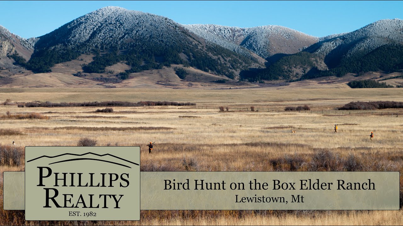 Box Elder Ranch Bird Hunt | Lewistown, Mt