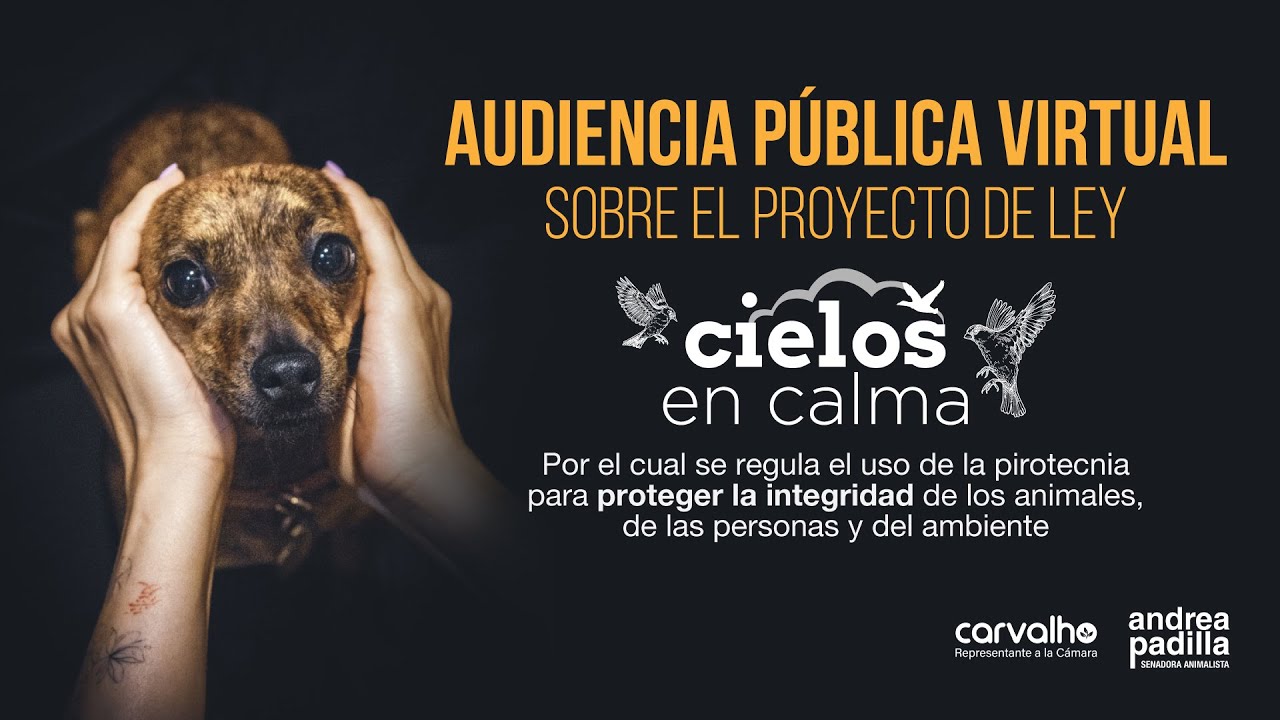 Audiencia Pública sobre PL. Cielos en Calma - Senadora Andrea Padilla