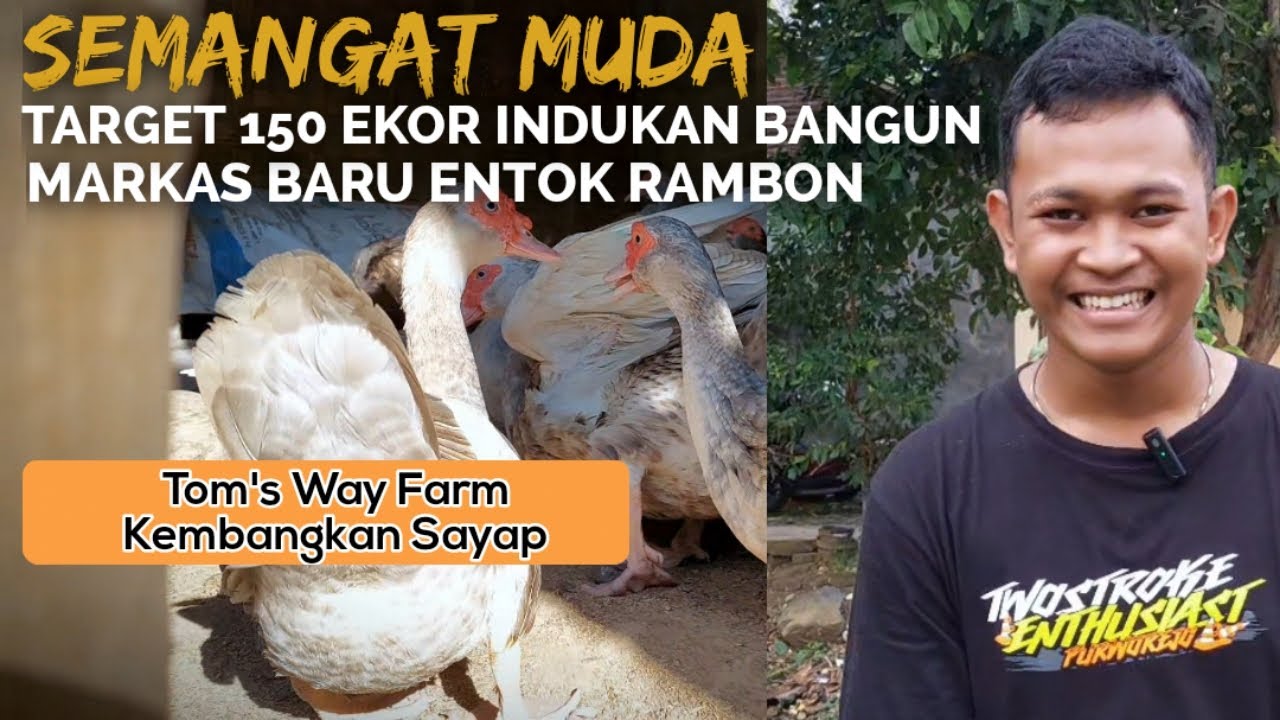 KEREN ! PEMUDA 18 TAHUN INI TARGET 150 EKOR TERNAK ENTOK RAMBON