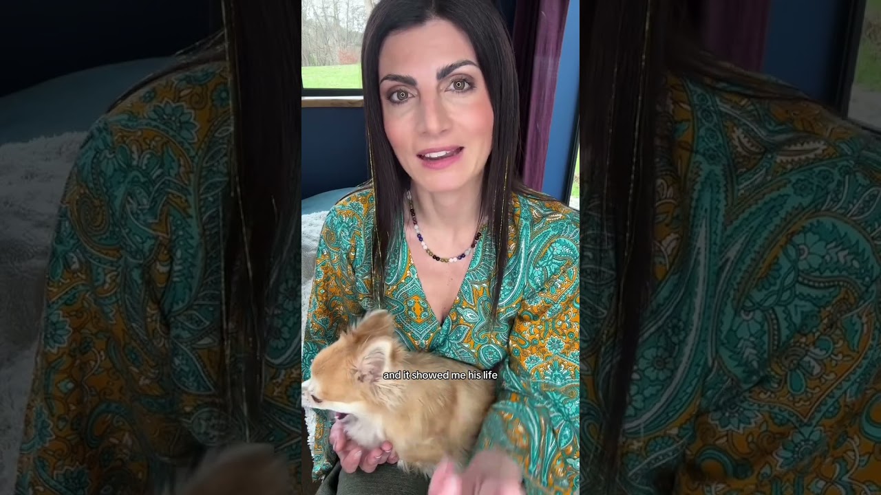 The Special K (Not so special)