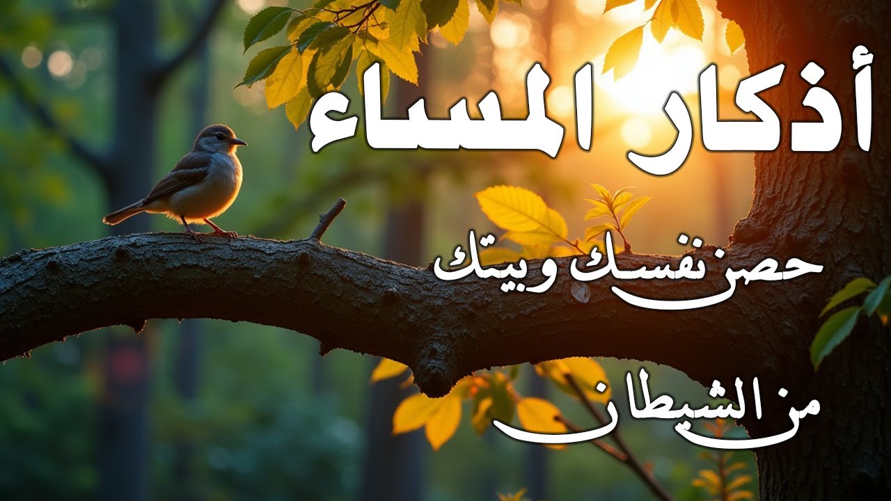 اذكار المساء💚راحة وسكينة لقلبك - حصن بيتك وأهلك من الشيطان | Evening azkar - Dzikir Malam By Alaa