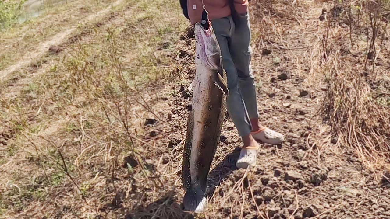 Snakehead Fishing with Friends 😄 | New Location, Pure Enjoyment