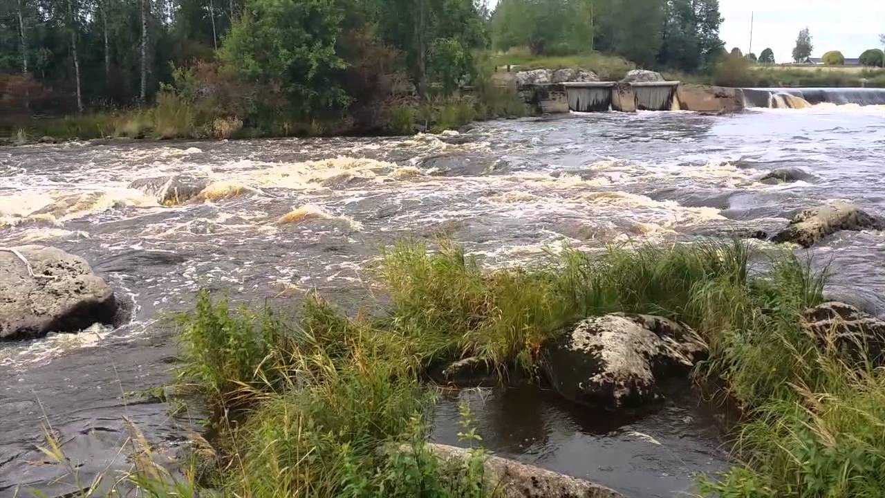 Ylistaron Peltokoski, Kyr&ouml;njoki