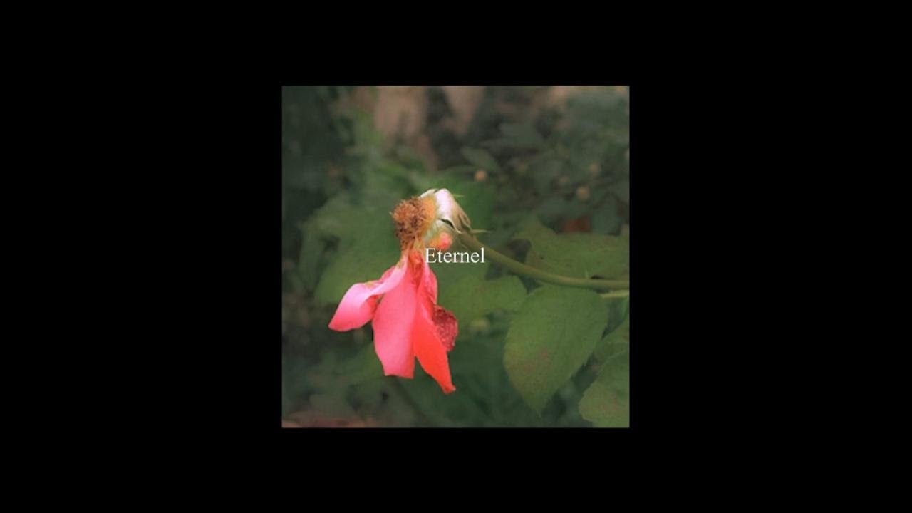 [FREE] Damso x Orelsan type beat - 
