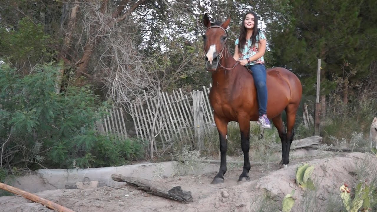 Horseback Riding with Rainbow