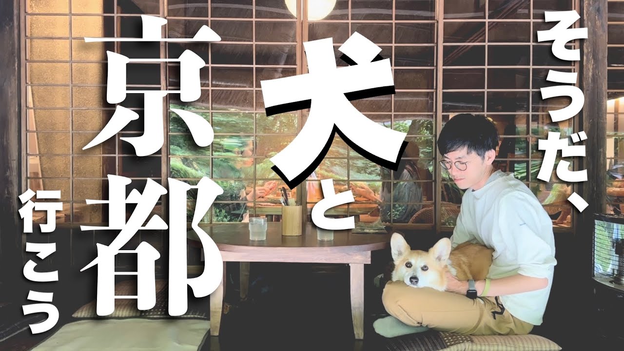 犬と一緒に京都嵐山に行ってきた【犬と日帰り京都②】