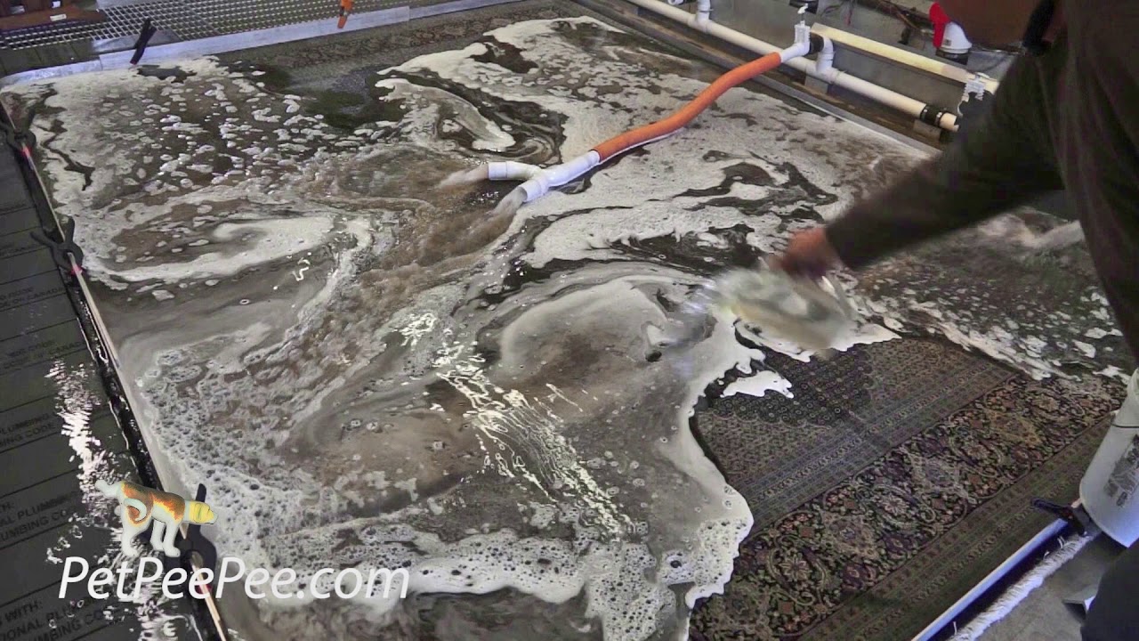 PetPeePee company | How's Oriental rug should be clean from dog urine odor