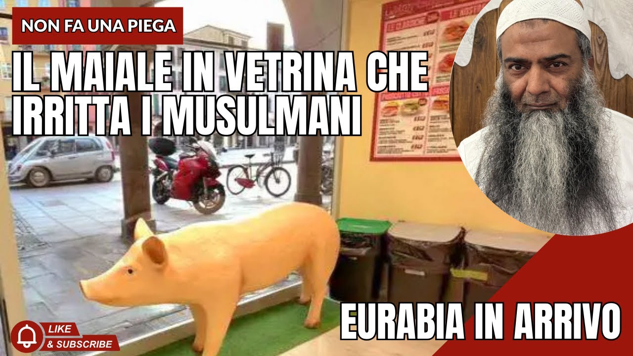 Padova, polemica sul maiale in vetrina: la comunità islamica chiede la rimozione.