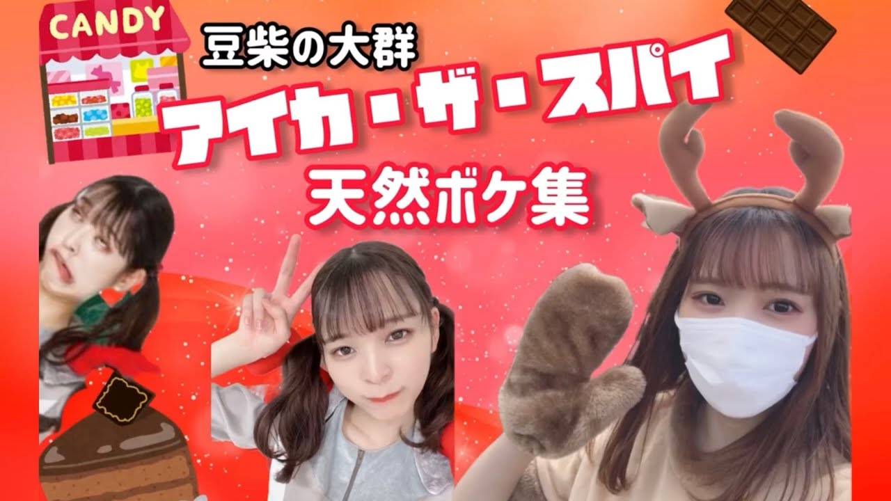【豆柴の大群】アイカ・ザ・スパイ天然ボケ集
