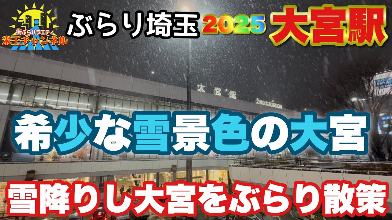 【ぶらり.埼玉】大宮に雪降ったぞー！