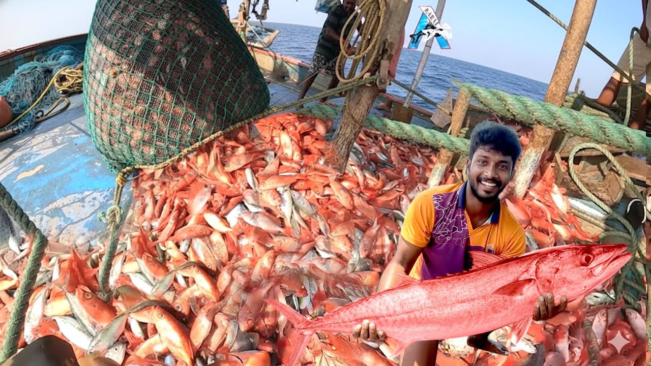 Red Fishing : The Eighth Day We Stayed In The Deep Sea And Caught A Lot Of Big Fishes