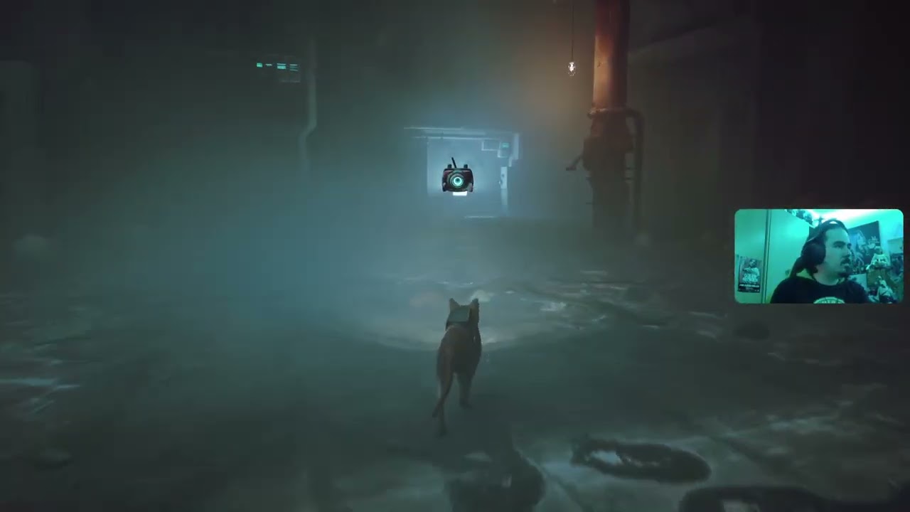 Stray #3
