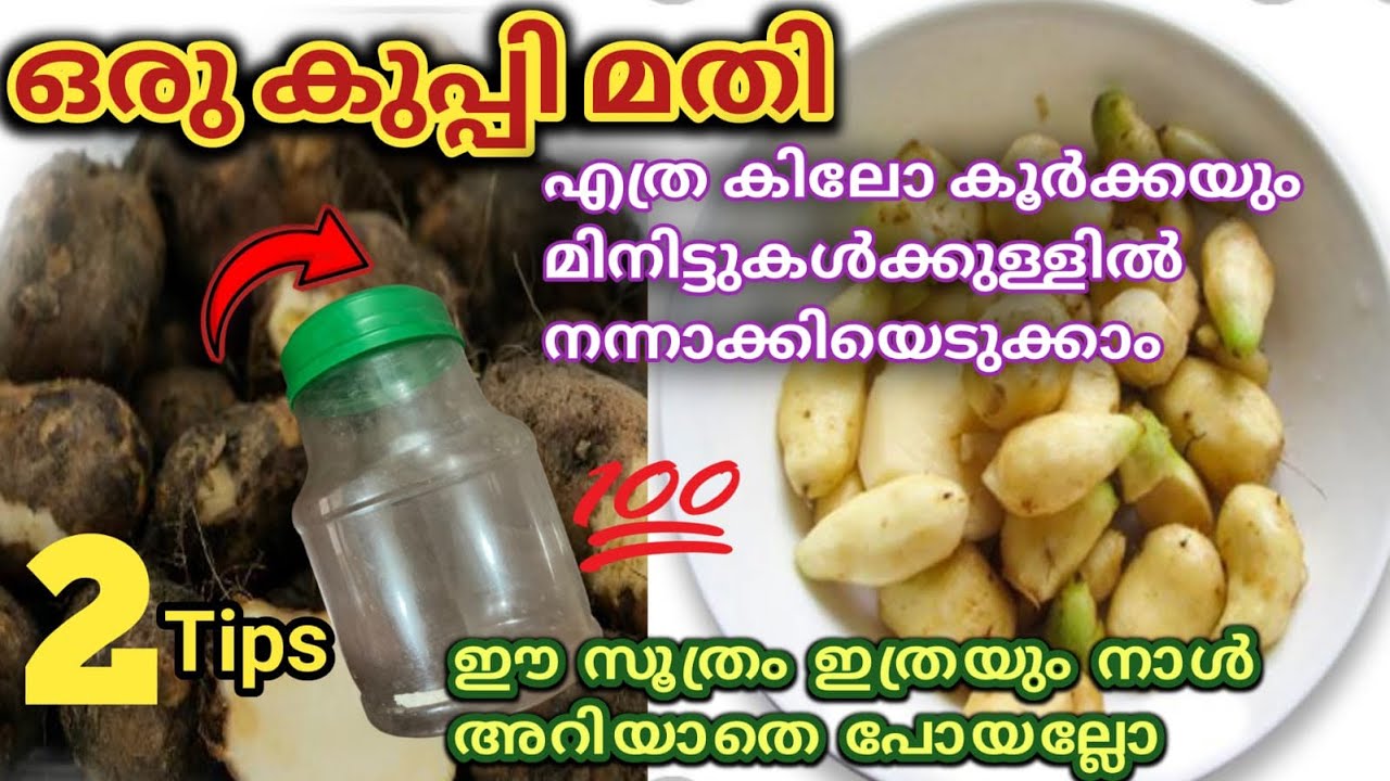 ഇനി കയ്യിൽ കറ വരുമെന്നുള്ള ടെൻഷൻ വേണ്ട|മിനിറ്റുകൾക്കുള്ളിൽ കൂർക്ക ക്ലീൻ ചെയ്യാം||Paathus Curryworld
