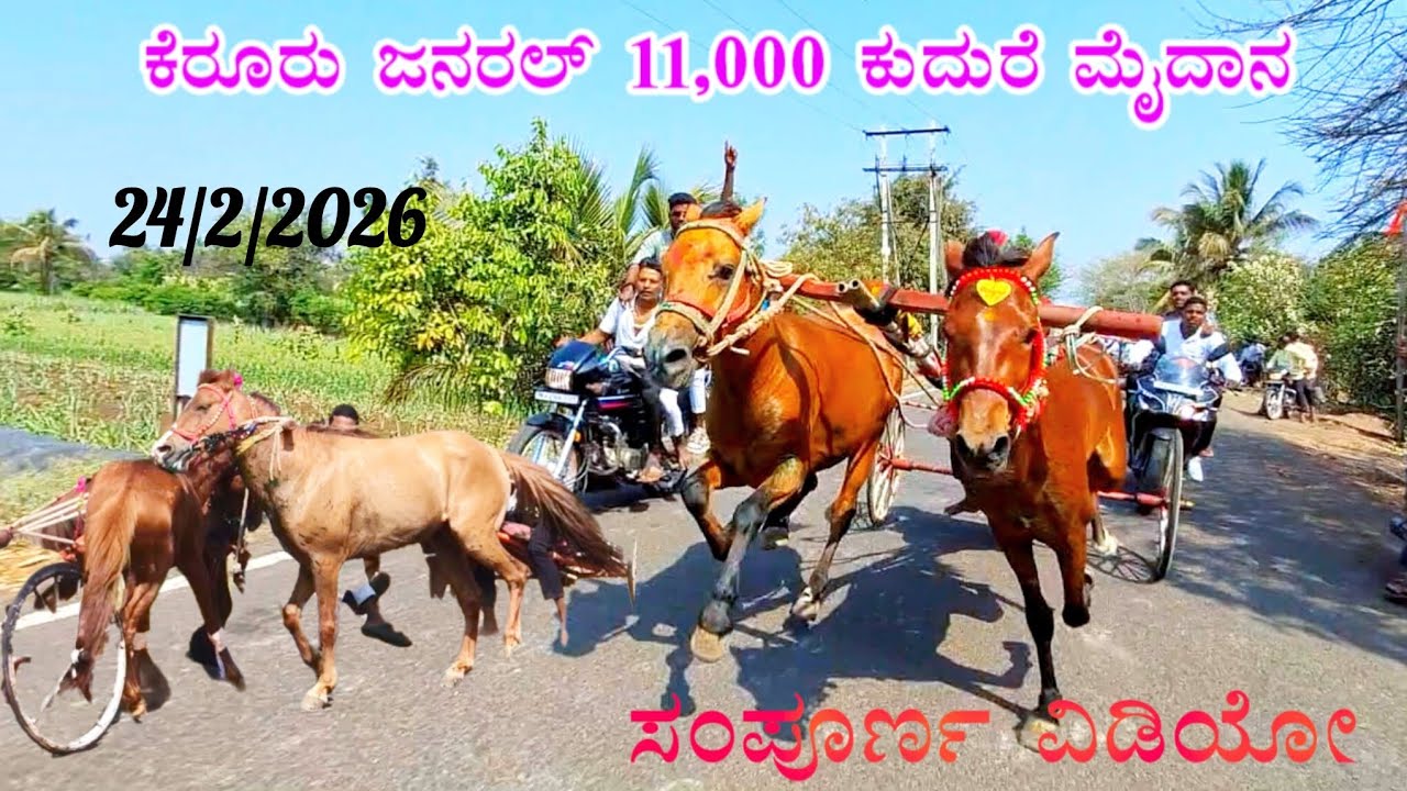 ಕೆರೂರು ಜನರಲ್ 11,000 ಕುದುರೆ ಮೈದಾನ 24/2/2026#rajupremi 