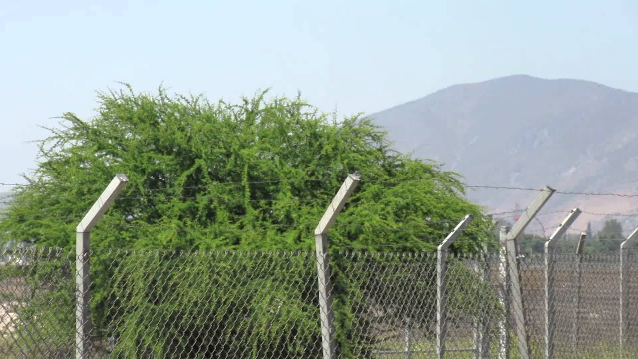 AeroMexico  Boeing 787-8 Dreamliner  N782AM   AMX010 From MMMX