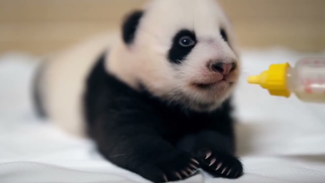 🍼🐼  포근포근 젖병 시간