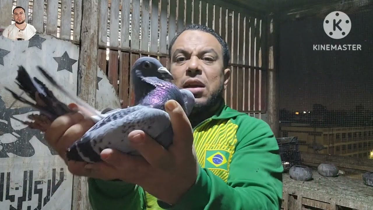 إنشاء مشروع حمام للذبح والأكل ناجح جدا جدا ✌️✌️