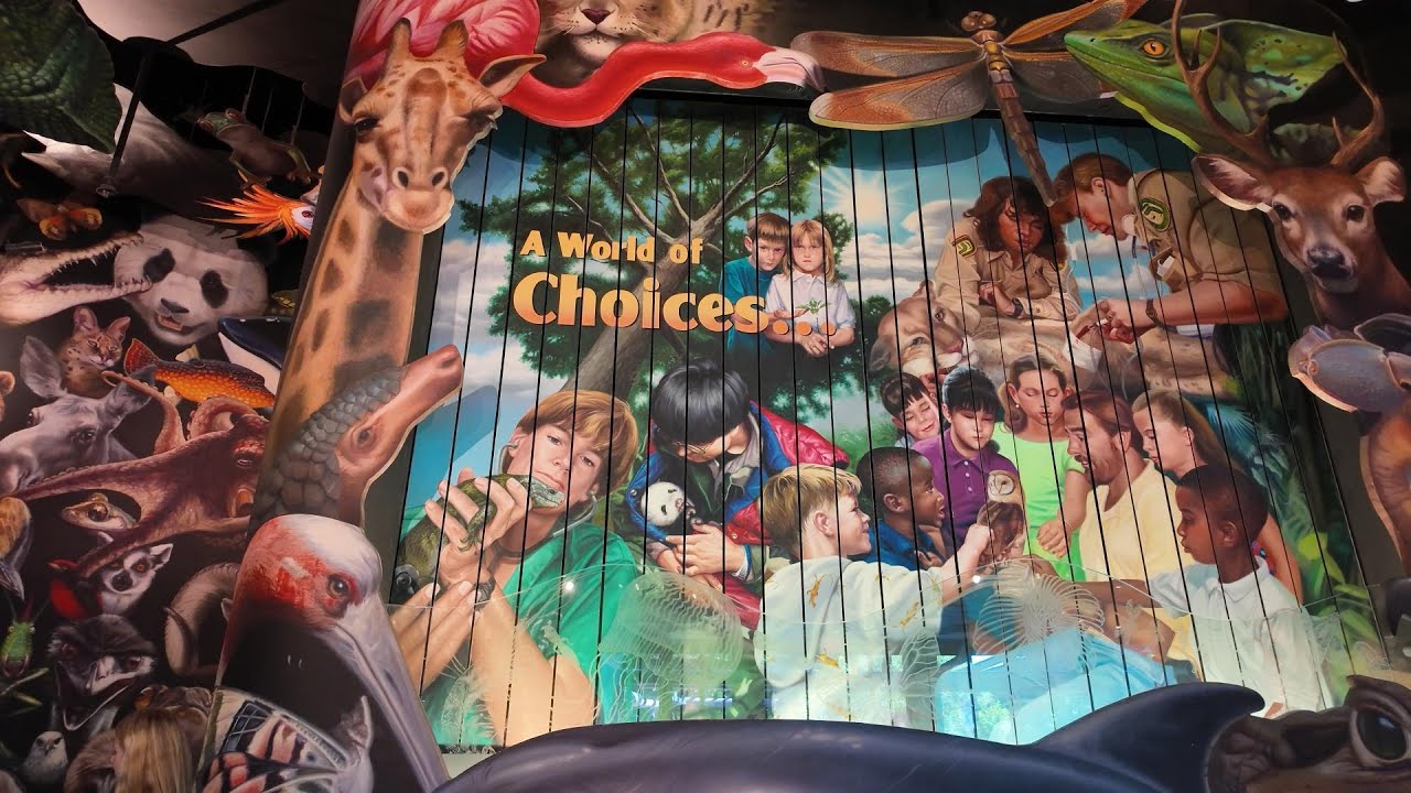 Full Tour of Rafiki's Planet Watch - Disney World Animal Kingdom