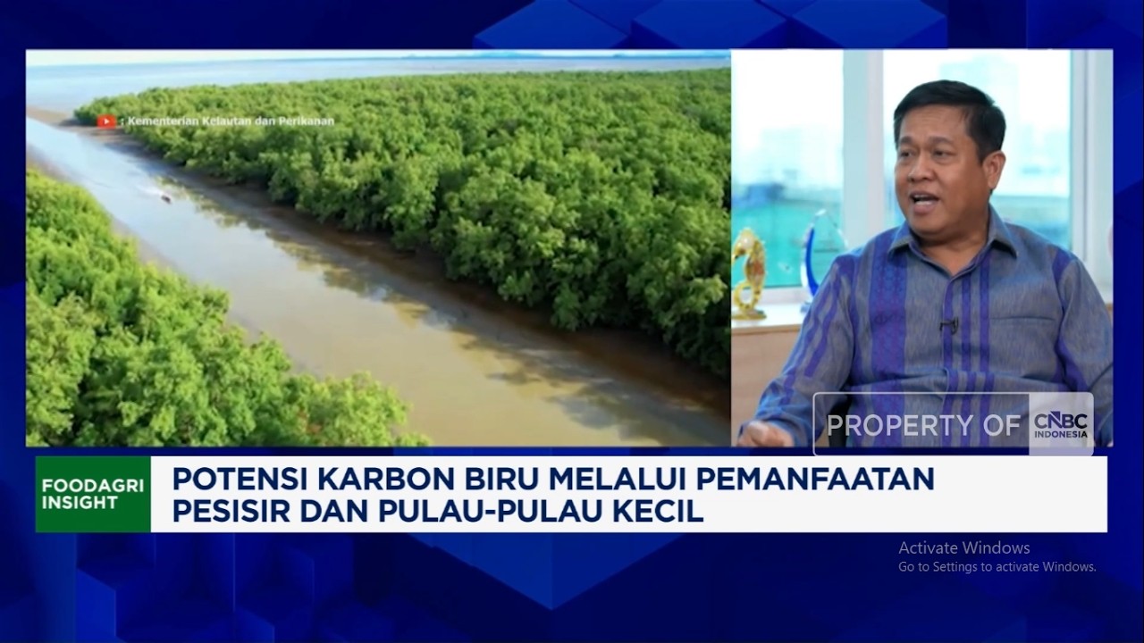 Gak Pakai APBN, KKP Gaet Swasta & BUMN Untuk Rehabilitasi Mangrove
