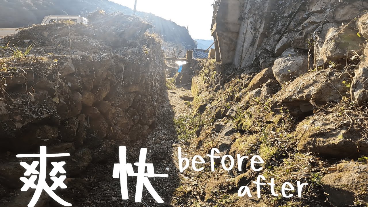 【古民家に住もう#151】30年放置された谷を掃除