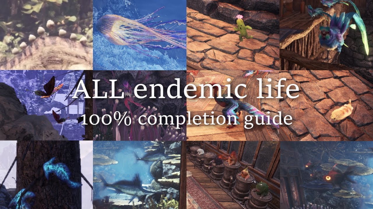 ALL endemic life in Monster Hunter World/Iceborn - Fully up to date guide!