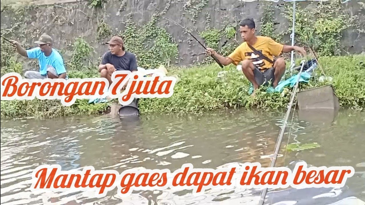 BORONGAN 7 JUTA PESERTA 8 ## BAWAL 4up BANYAK .