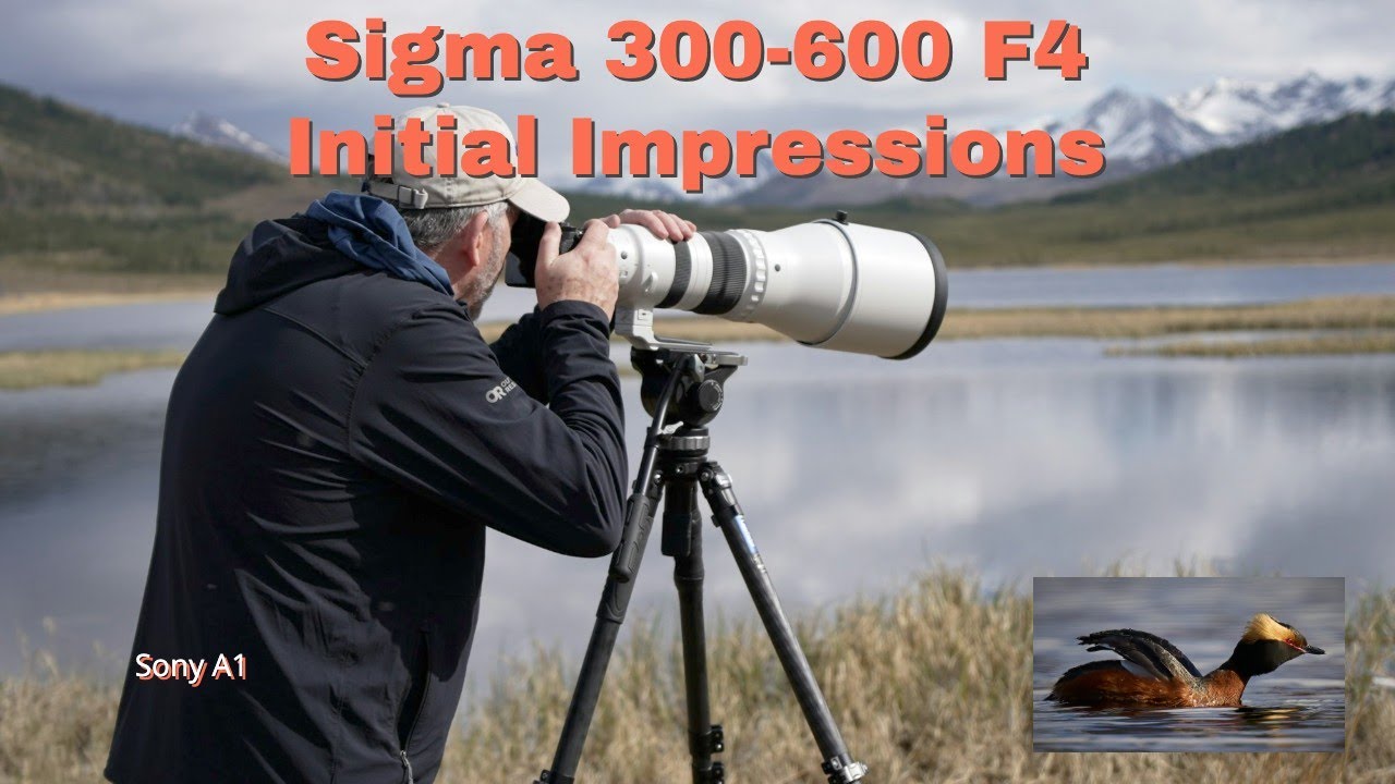 Sigma 300-600 F4 Initial Impressions