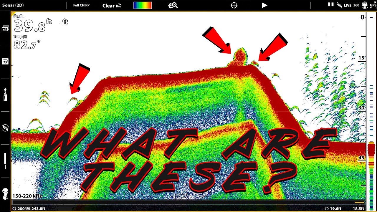 Fish Finder Explained For Beginners: Sonar, Side Imaging, Down Imaging, Mapping Tricks