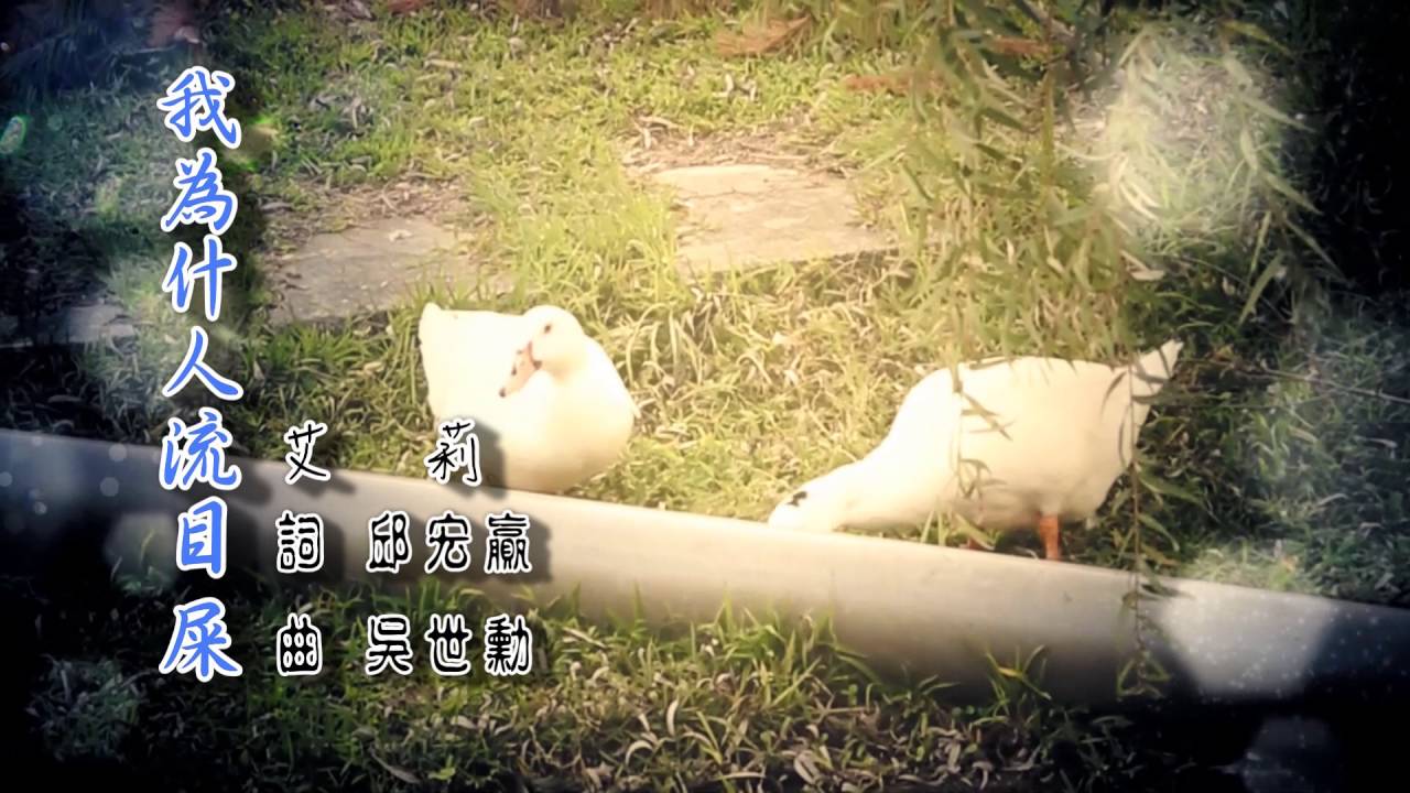 艾莉-我為什人流目屎 MV