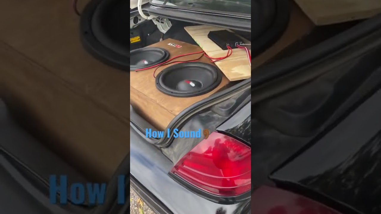 DS18 15s Subwoofers #subwoofers #bass #ds18