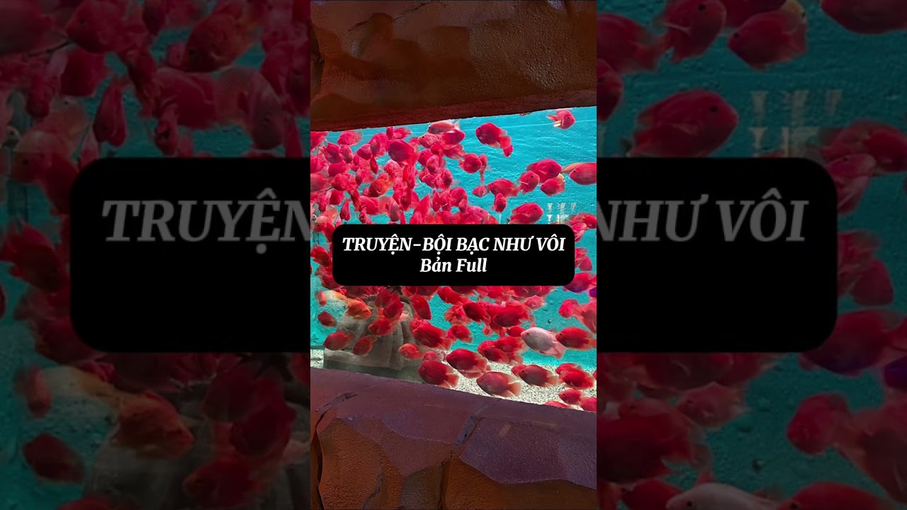 TRUYỆN-BỘI BẠC NHƯ VÔI | Bản Full