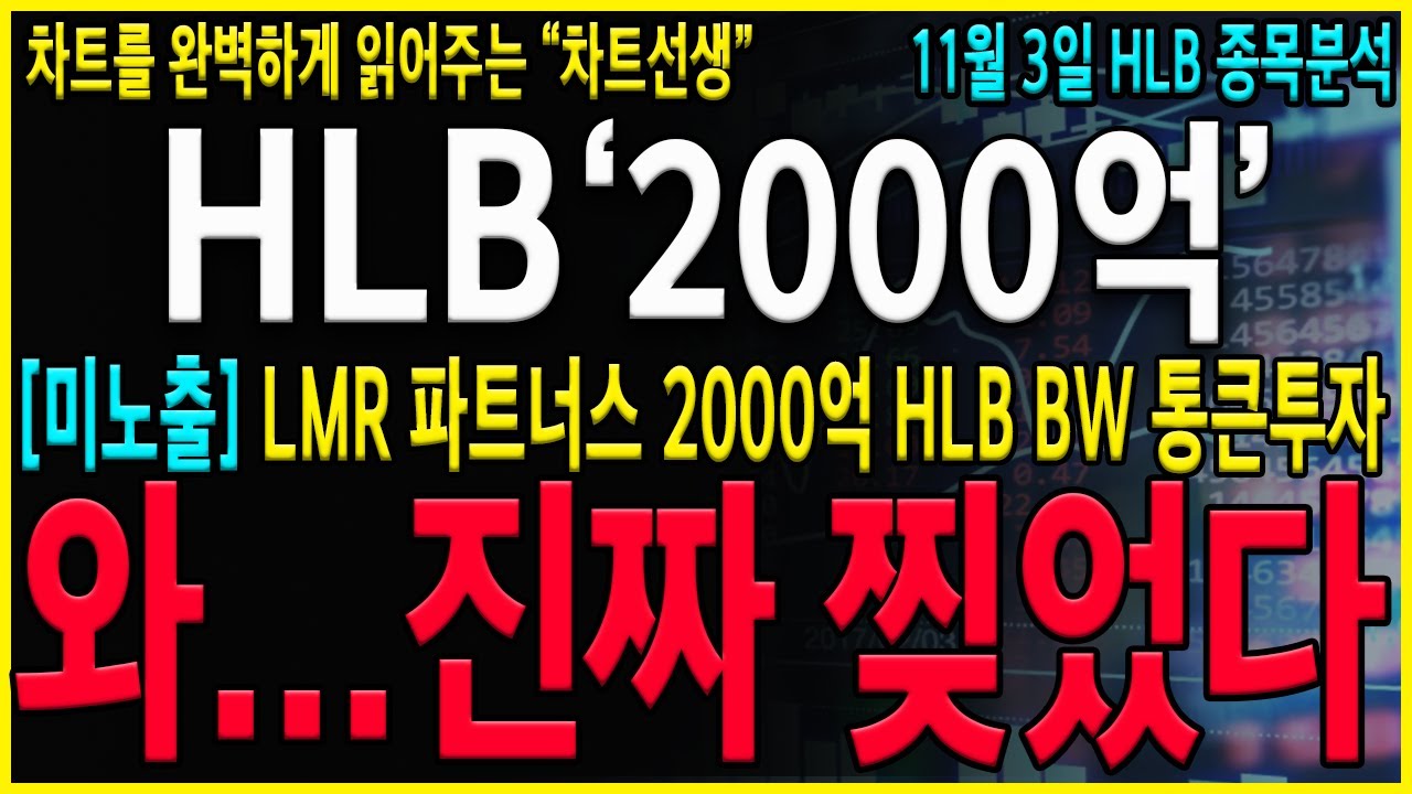 [HLB 에이치엘비]