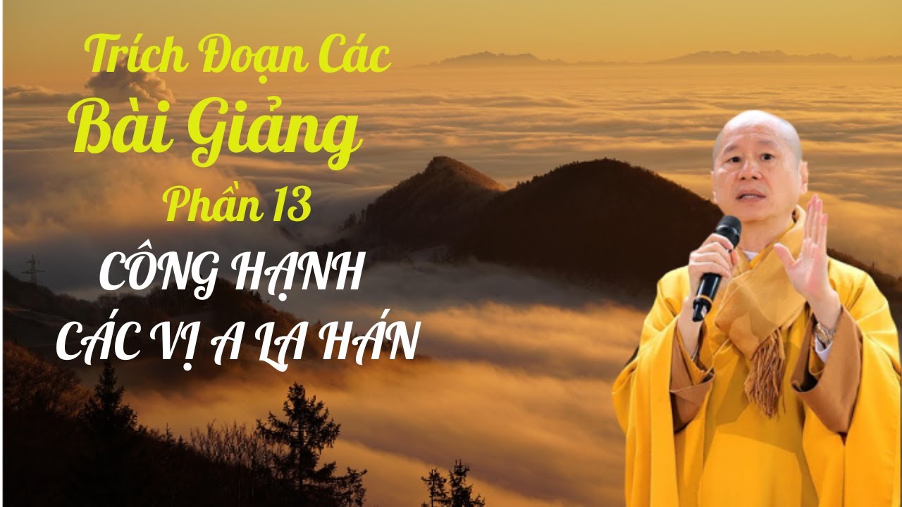 Tổng Hợp Trích Đoạn Các Bài Giảng Của TT.TS. Thích Chân Quang | Phần 13