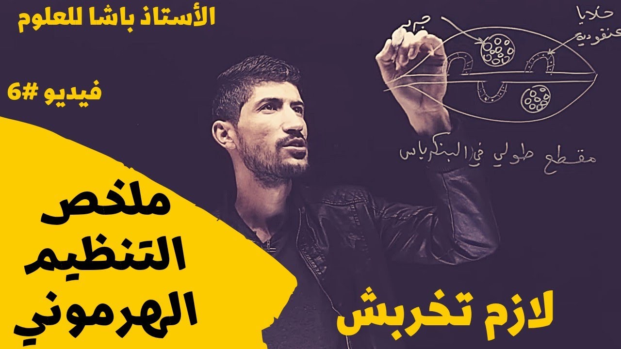 #6 | ثانية ثانوي _ ملخص شامل حول تنطيم الهرموني_حالة الافراط السكري_حالة القصور السكري