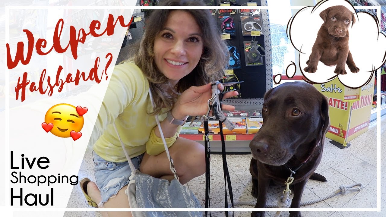 Welpen Zubehör kaufen? - Live Shopping Haul  | KaroLovesMilka #milkamittwoch
