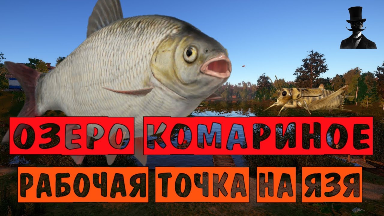 РАБОЧАЯ ТОЧКА НА ЯЗЯ! - Озеро Комариное! - Русская Рыбалка 4.
