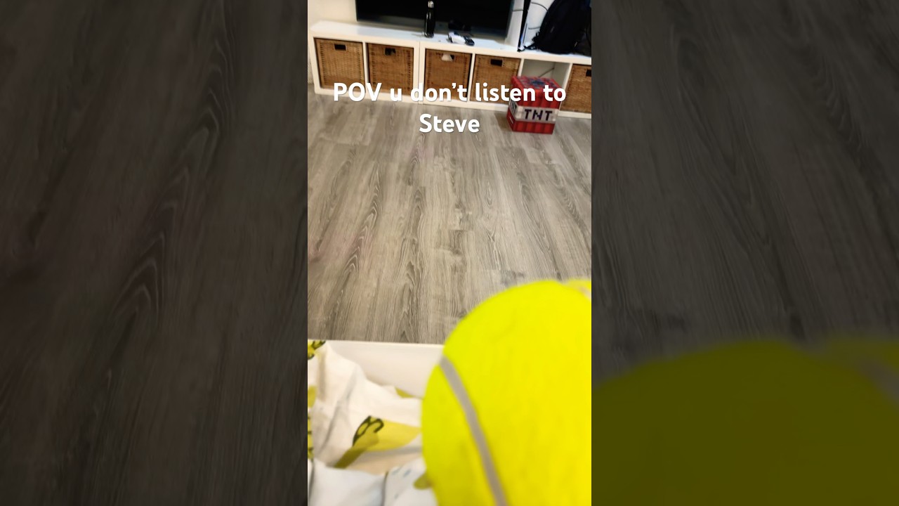 POV u don’t listen to Steve 