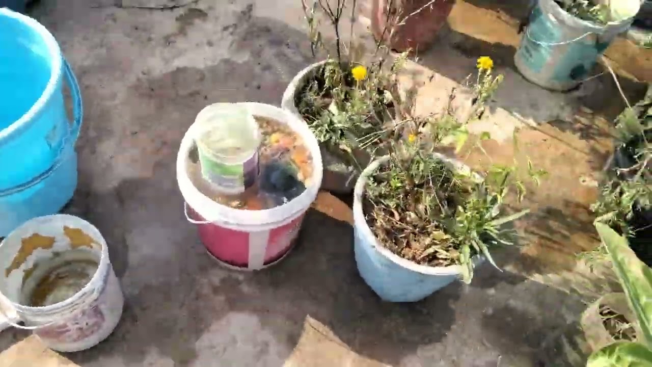 MY NANNY’S GARDEN