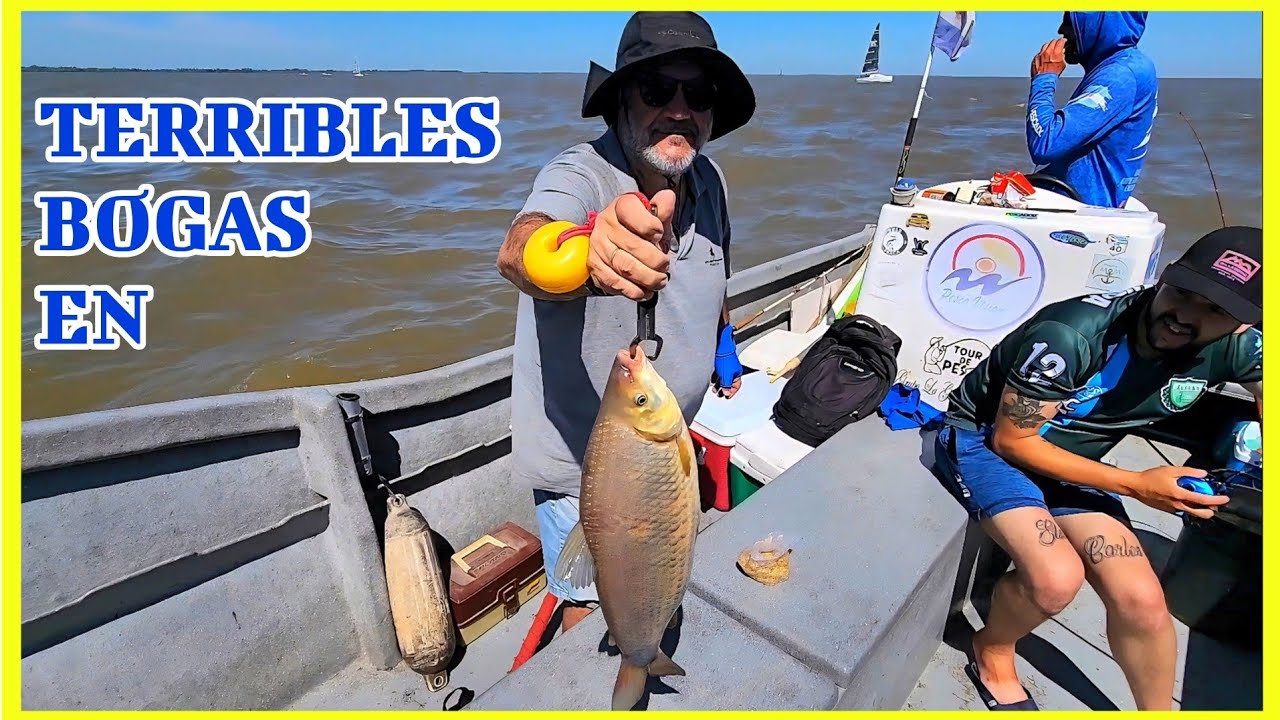 MALECONES ENSENADA EMBARCADOS #pesca #fish #bogas #riodelaplata