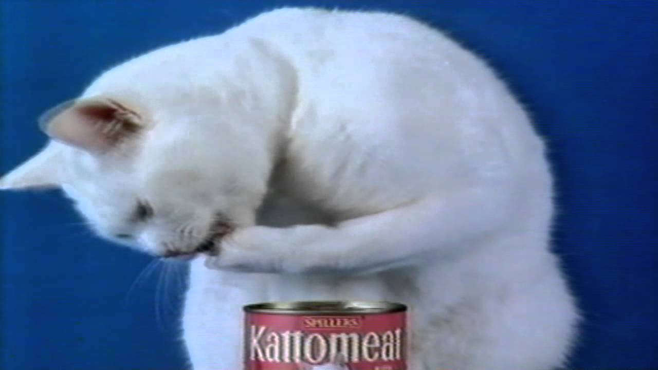 Kattomeat - Arthur's friends