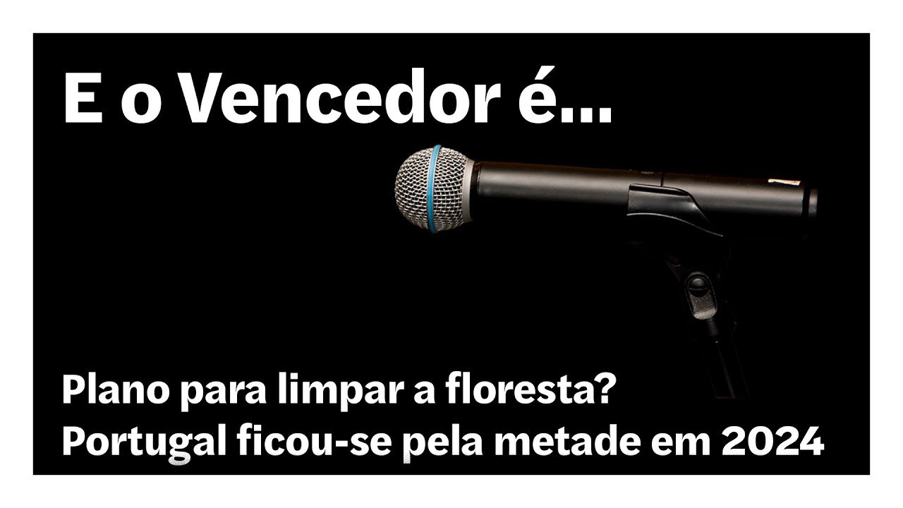 Plano para limpar a floresta? Portugal ficou-se pela metade em 2024